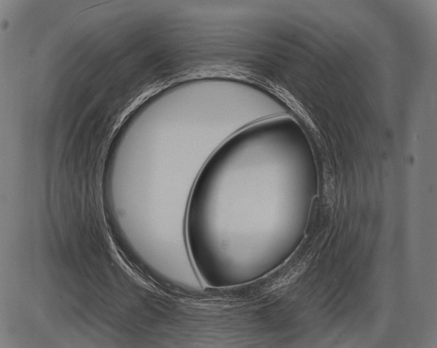 X0000087540530200704270926