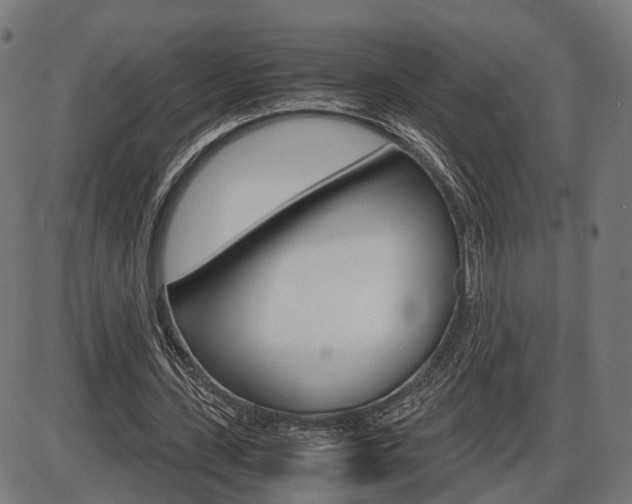 X0000087540531200704270926