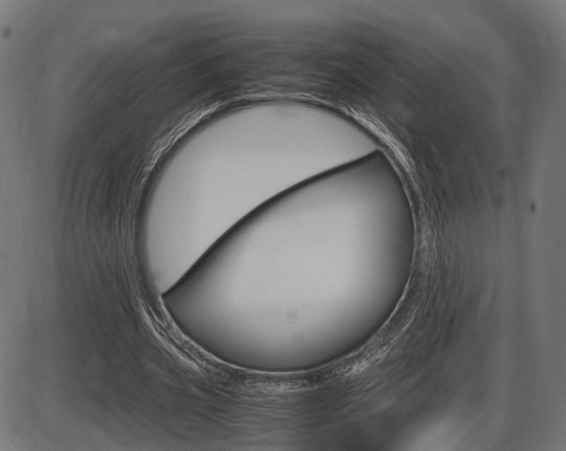 X0000087540533200704270926