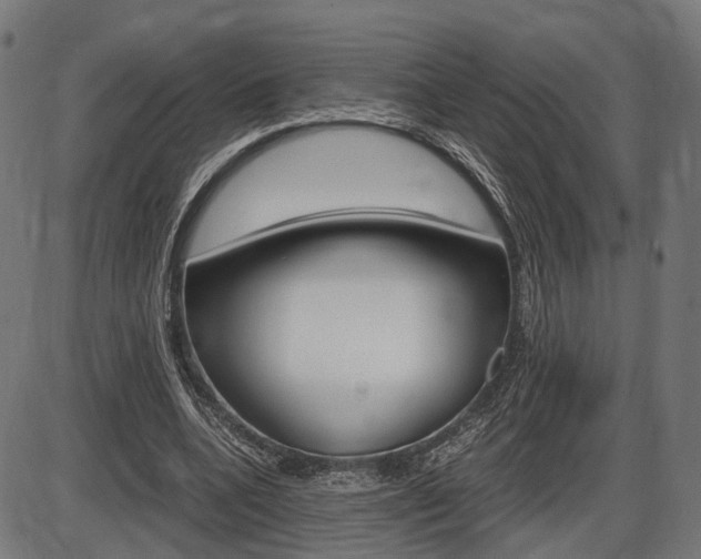 X0000087540536200704270926