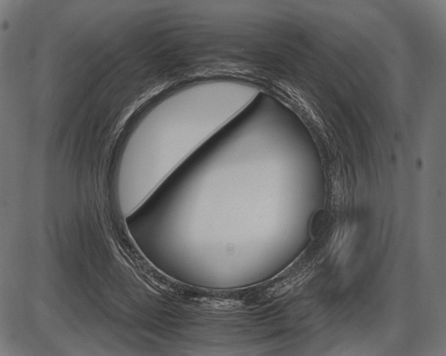 X0000087540539200704270926