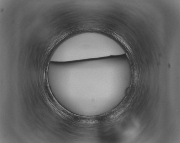 X0000087540541200704270926