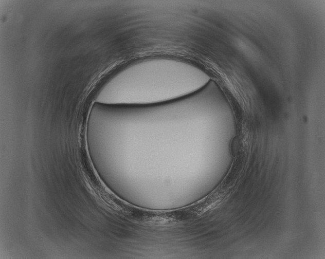 X0000087540542200704270926