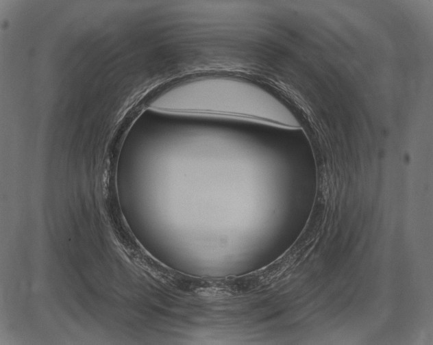 X0000087540544200704270926