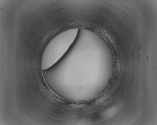 X0000087540545200704270926