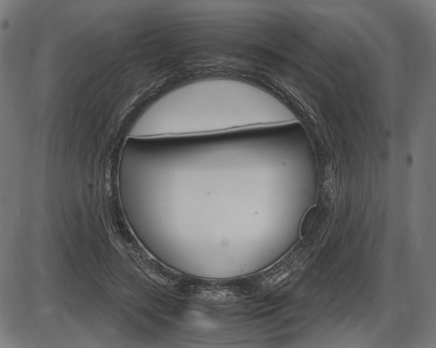 X0000087540547200704270926