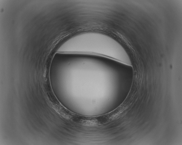 X0000087540548200704270926