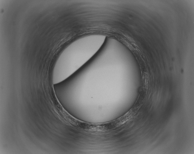 X0000087540550200704270926