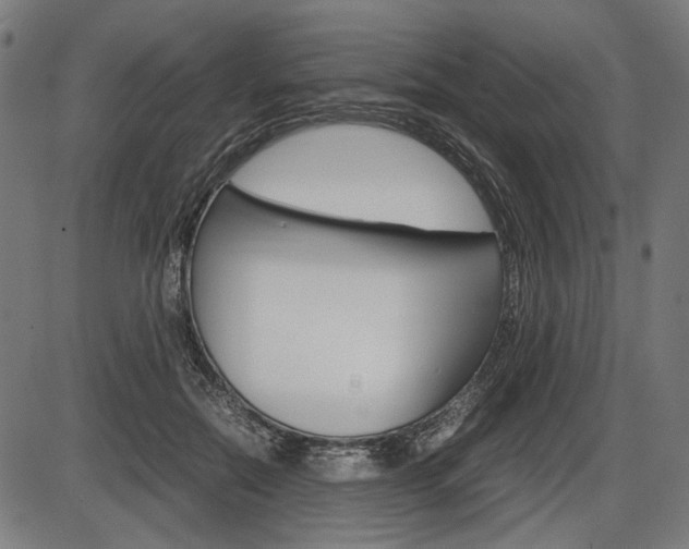 X0000087540554200704270926