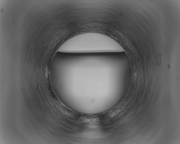 X0000087540555200704270926