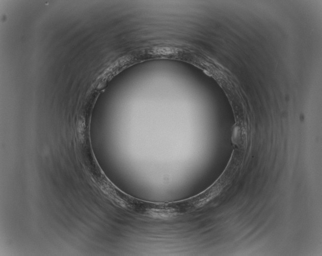 X0000087540556200704270926