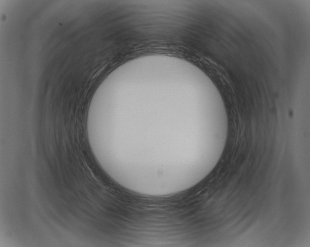 X0000087540560200704270926