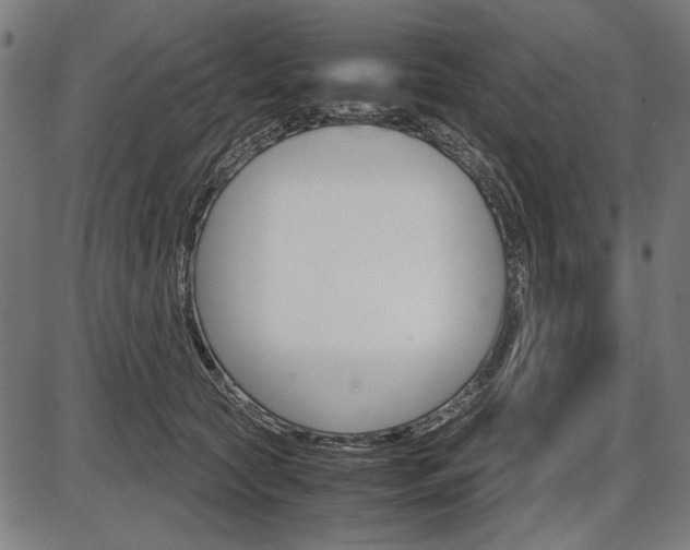 X0000087540561200704270926