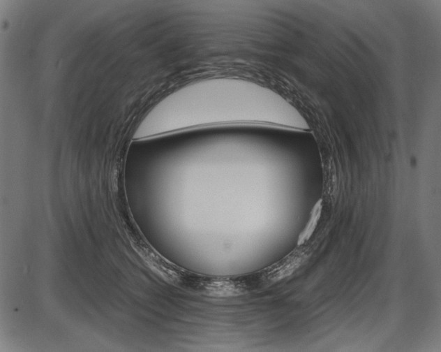 X0000087540562200704270926