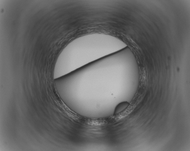 X0000087540565200704270926