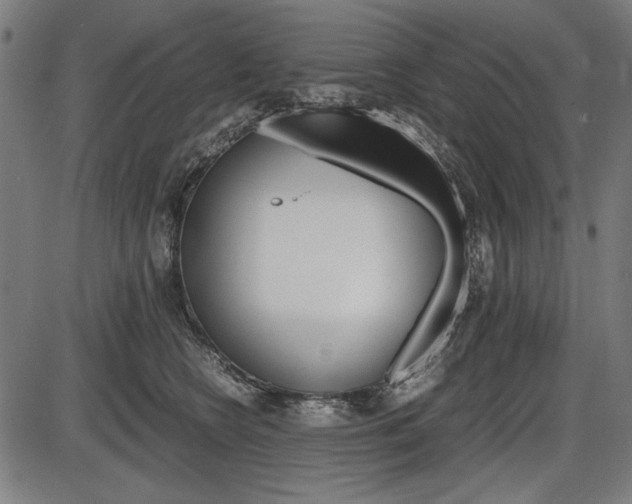 X0000087540566200704270926