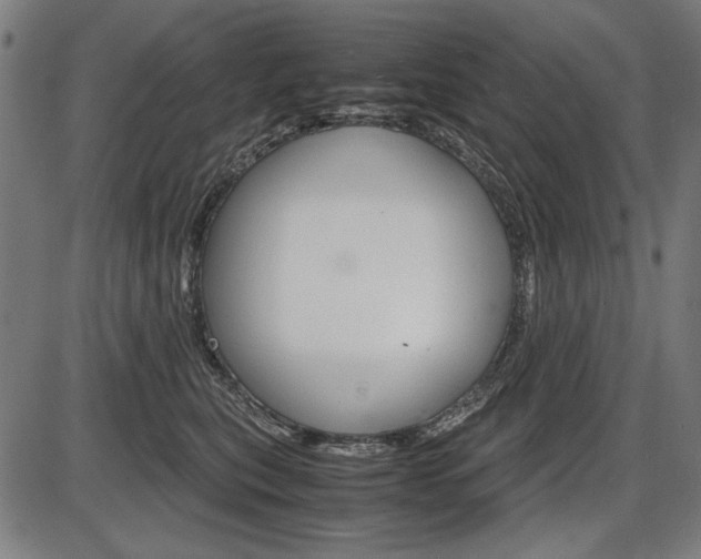 X0000087540567200704270927