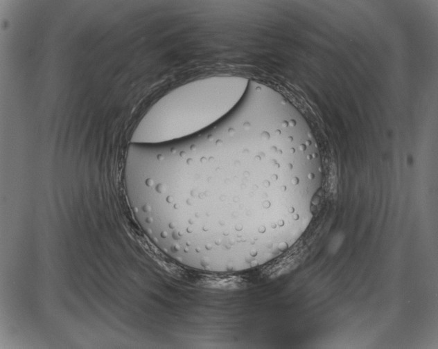 X0000087540569200704270927