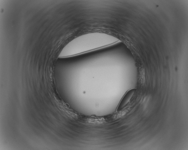 X0000087540571200704270927