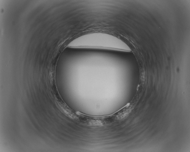 X0000087540572200704270927