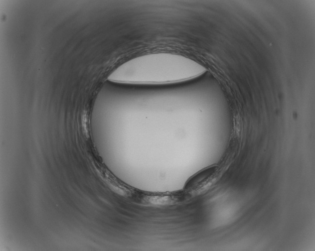 X0000087540575200704270927