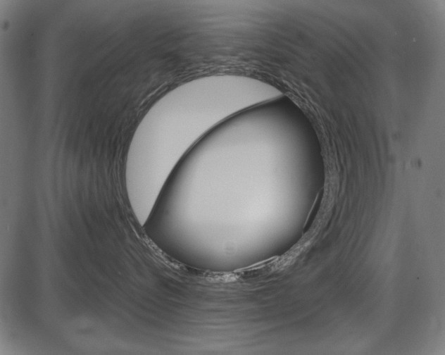 X0000087540576200704270927
