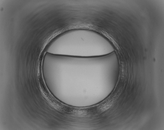 X0000087540582200704270926