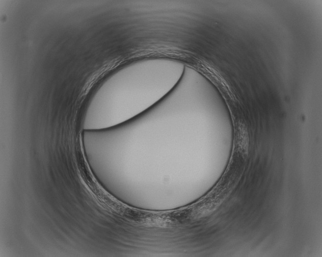 X0000087540586200704270926