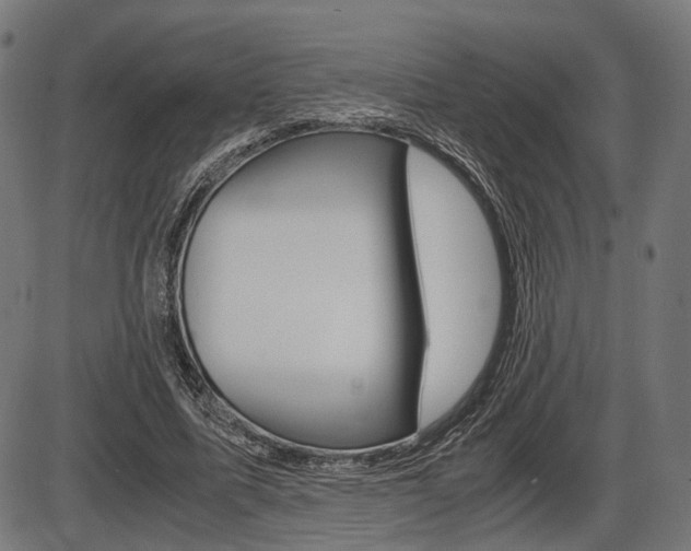 X0000087540587200704270926