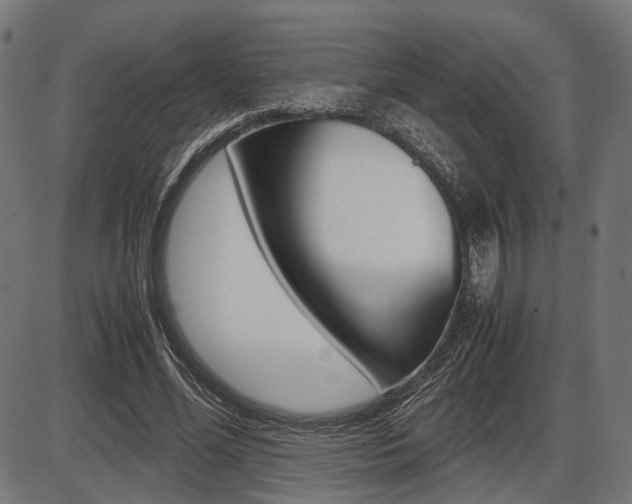 X0000087540588200704270926