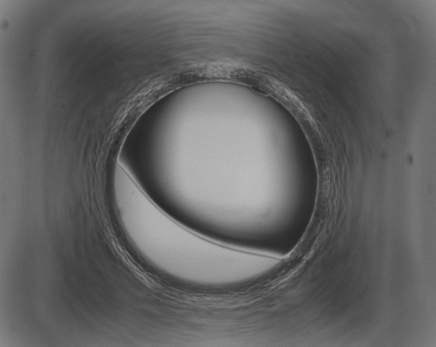 X0000087540589200704270926