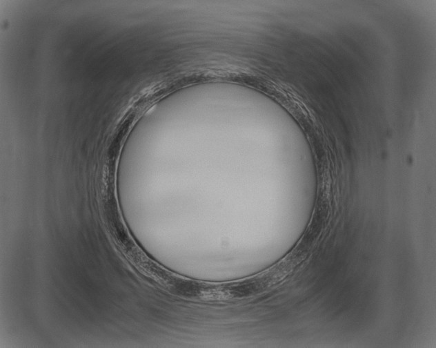 X0000087540591200704270926