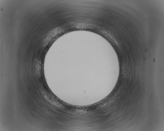 X0000087540592200704270926