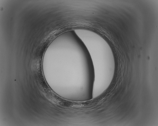 X0000087540595200704270926