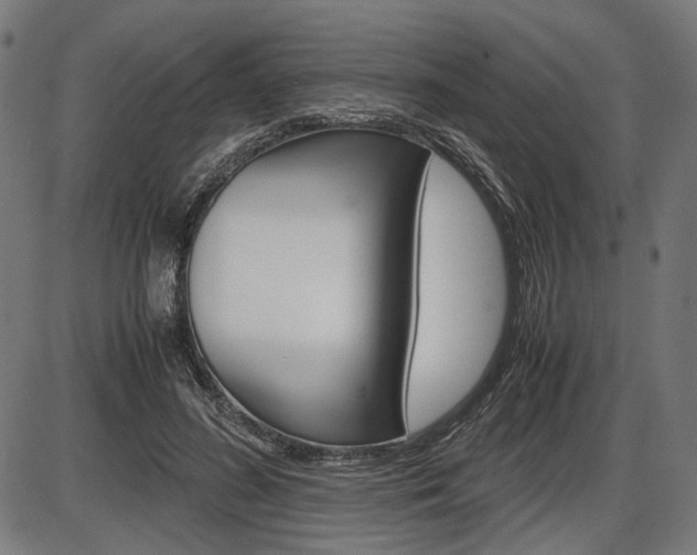 X0000087540596200704270926