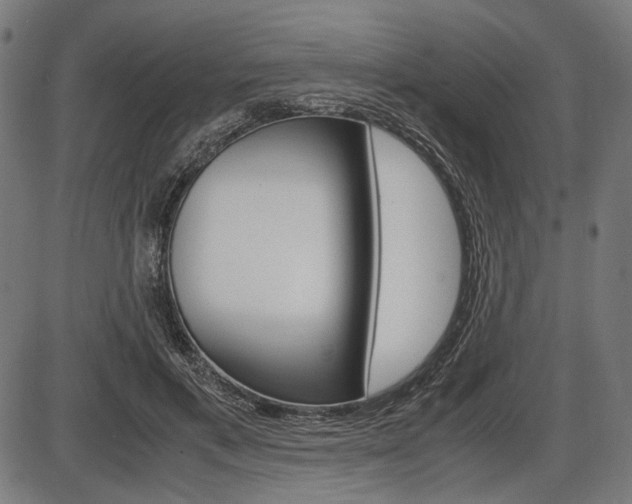 X0000087540597200704270926