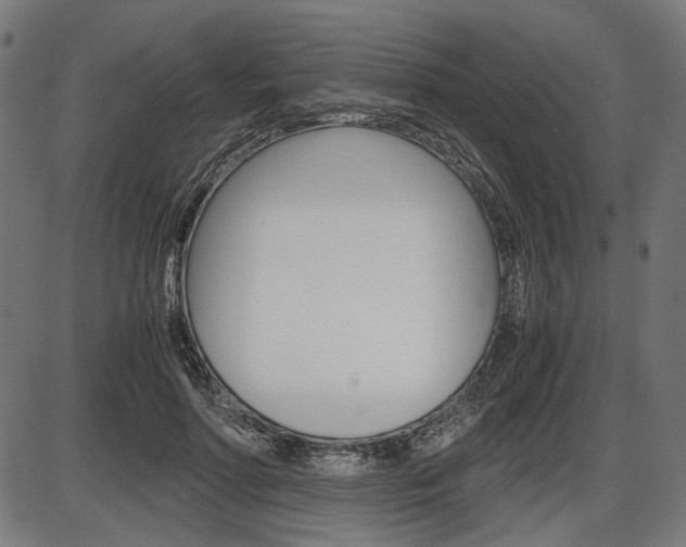 X0000087540598200704270926