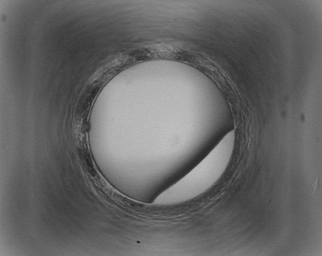 X0000087540599200704270926
