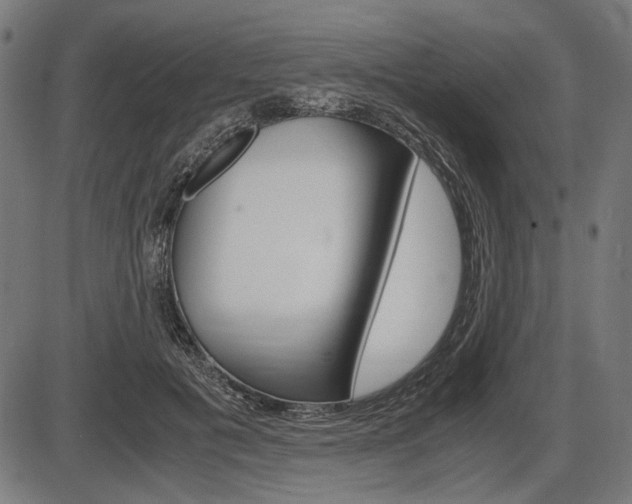 X0000087540601200704270925