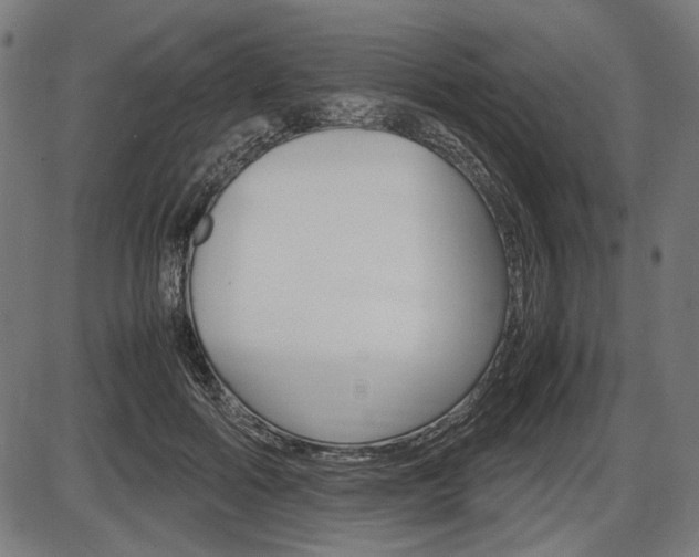 X0000087540602200704270925
