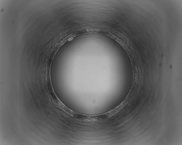 X0000087540604200704270925