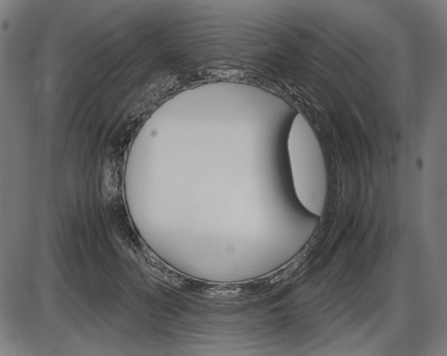 X0000087540606200704270925
