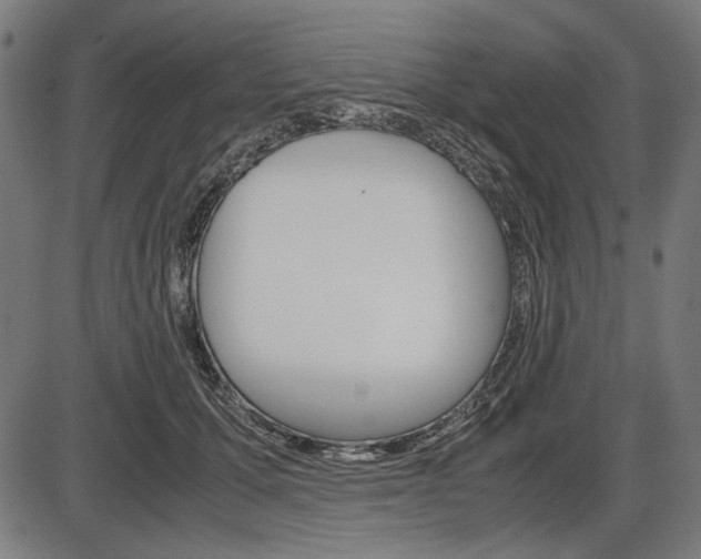 X0000087540607200704270925