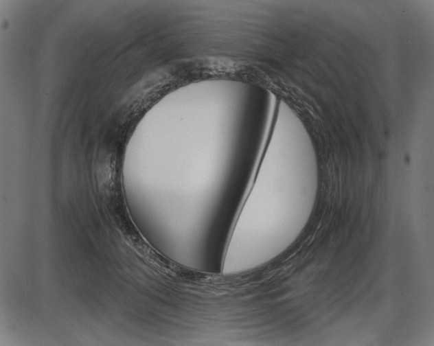 X0000087540608200704270925