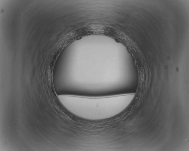 X0000087540609200704270925