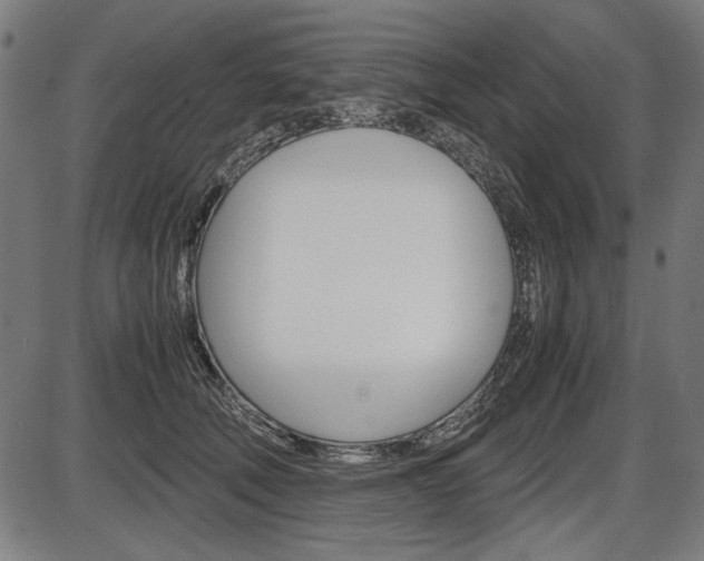X0000087540610200704270925