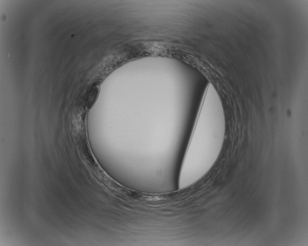 X0000087540611200704270925