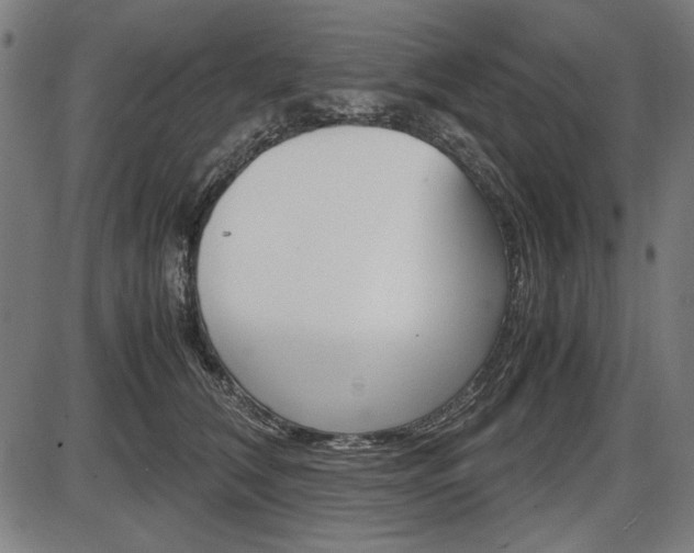 X0000087540612200704270925