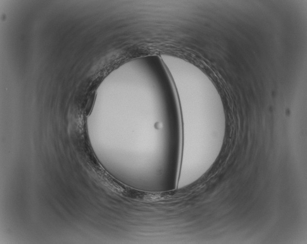 X0000087540613200704270925