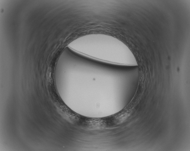 X0000087540615200704270925